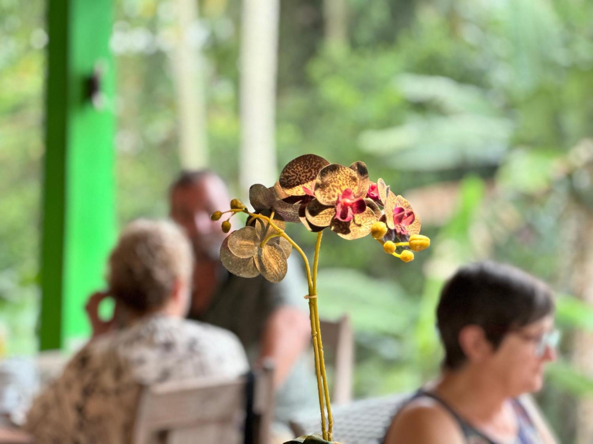Dupa Ubud Exteriér fotografie
