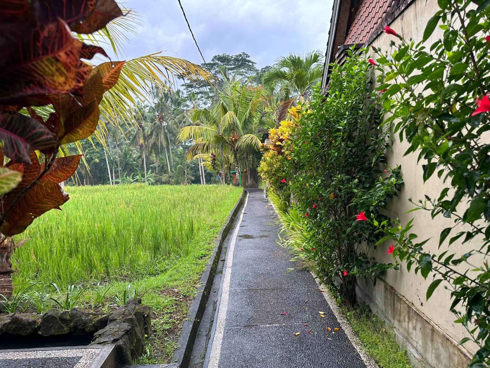 Dupa Ubud Exteriér fotografie